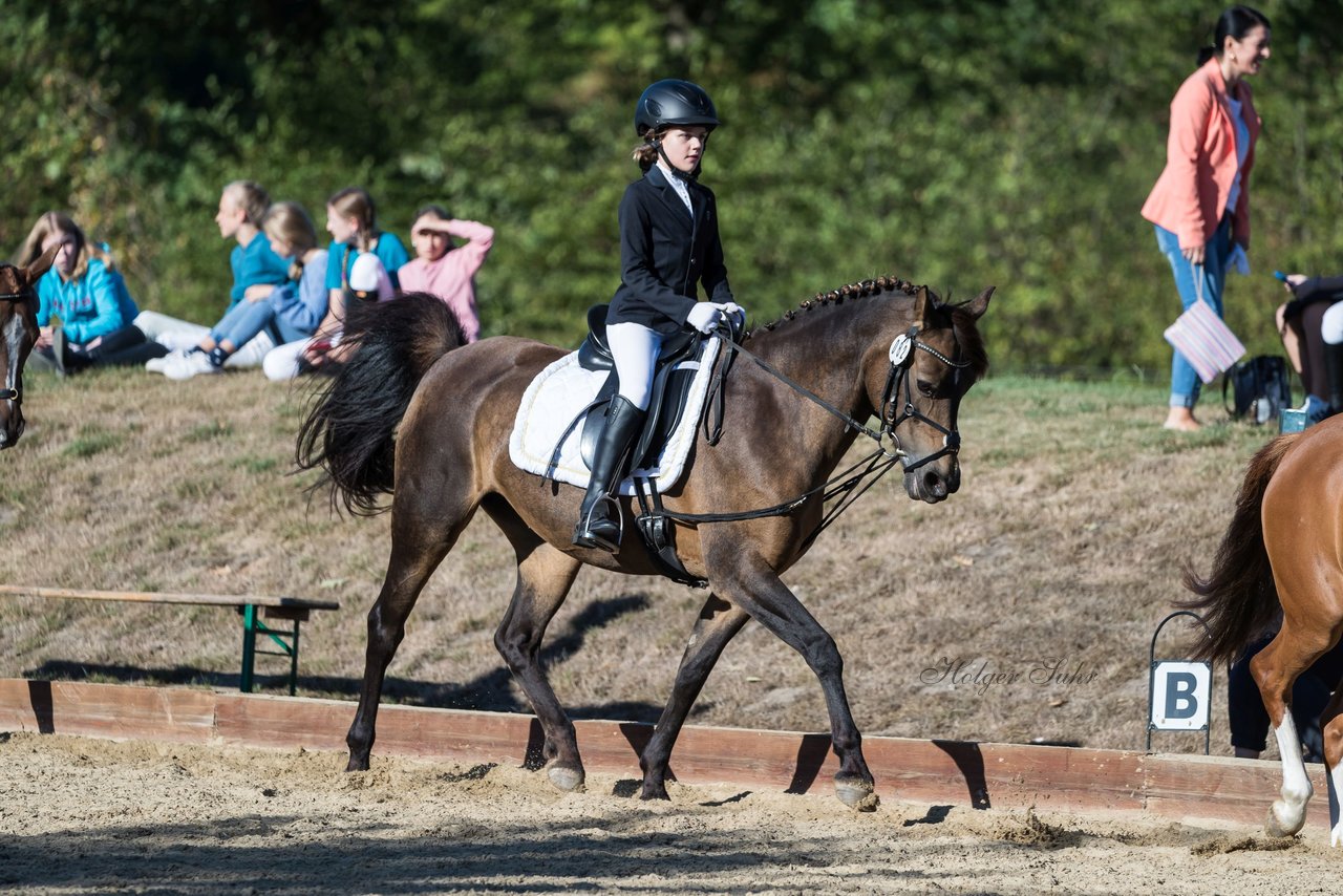 Bild 39 - Pony Akademie Turnier